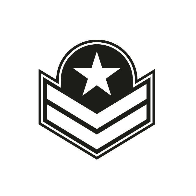 icon graphic of military symbol